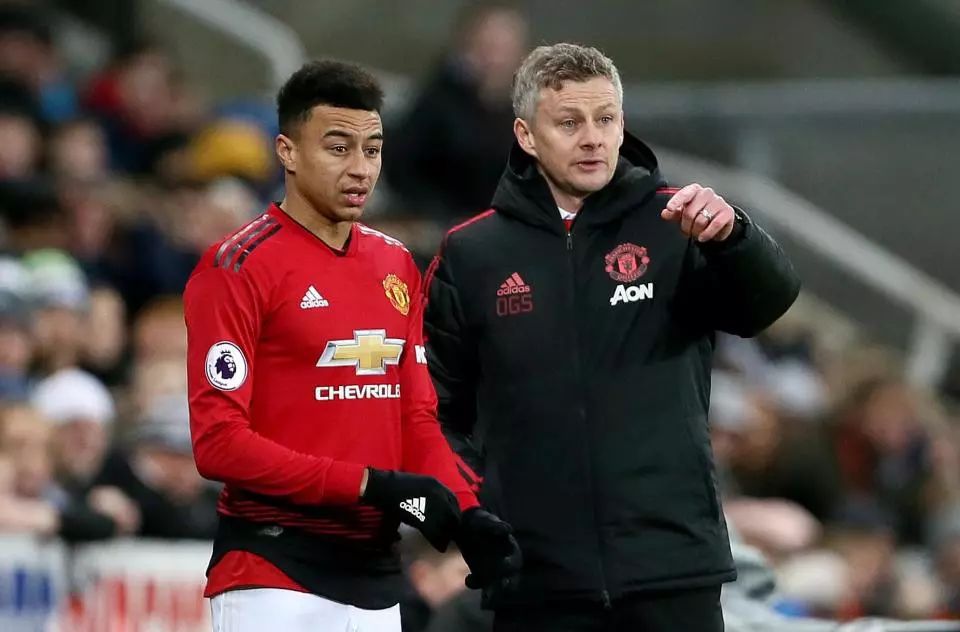 张路独家坐镇网易红彩权威解读背后的真实力量